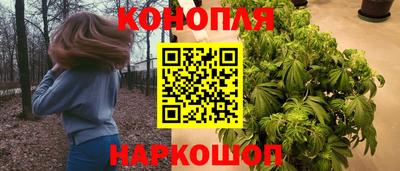 ПСИЛОЦИБИНОВЫЕ ГРИБЫ Краснодар