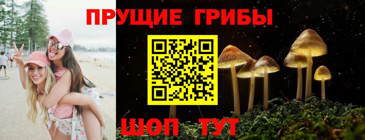 Псилоцибиновые грибы мицелий Пугачёв