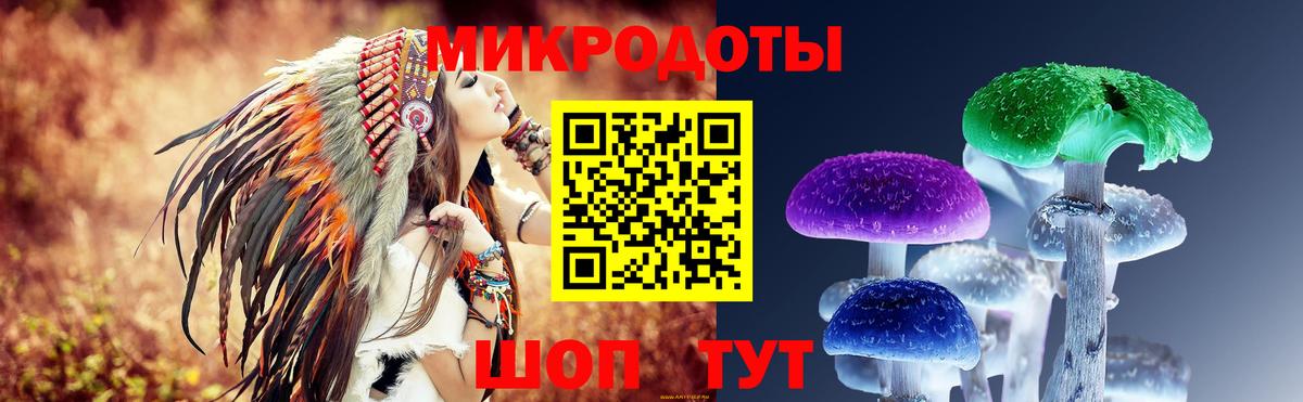 Псилоцибиновые грибы MAGIC MUSHROOMS  Вход с VPN  Пугачёв  Псилоцибиновые грибы MAGIC MUSHROOMS 